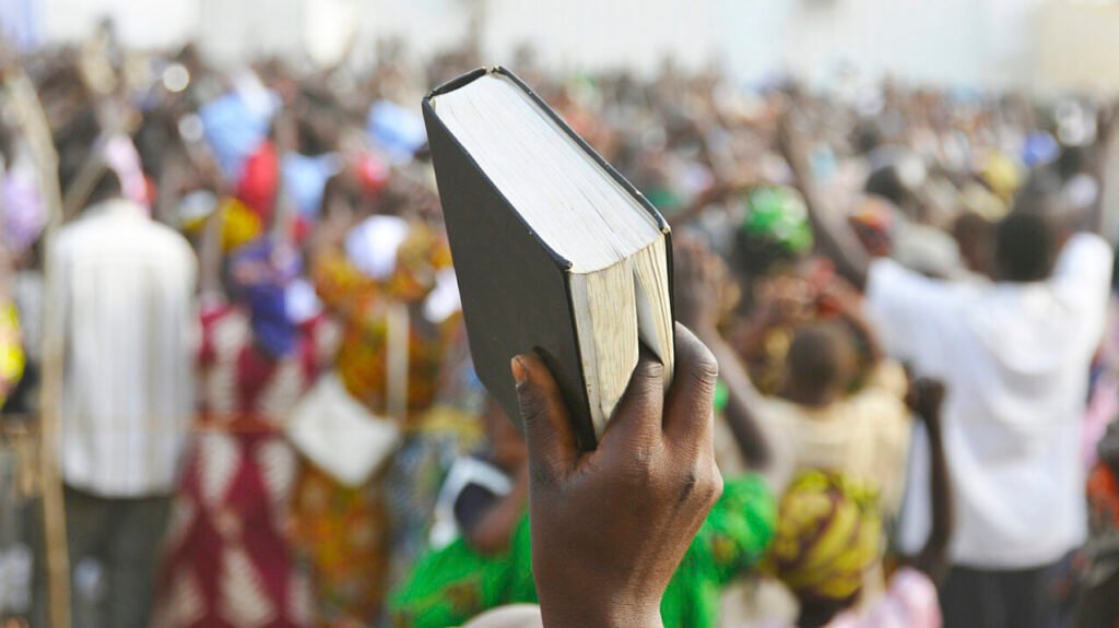 image search 1748365937749